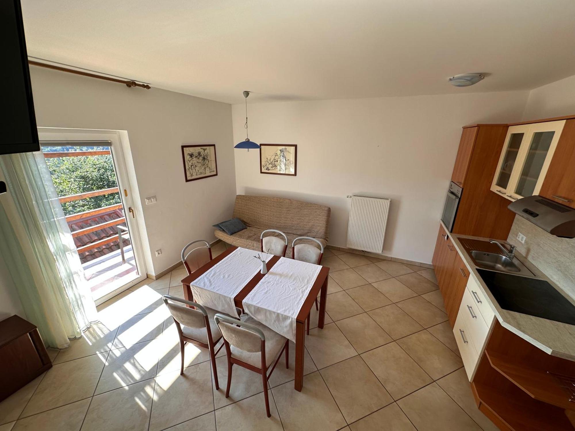 Apartments Suster Stari Trg ob Kolpi Exterior photo