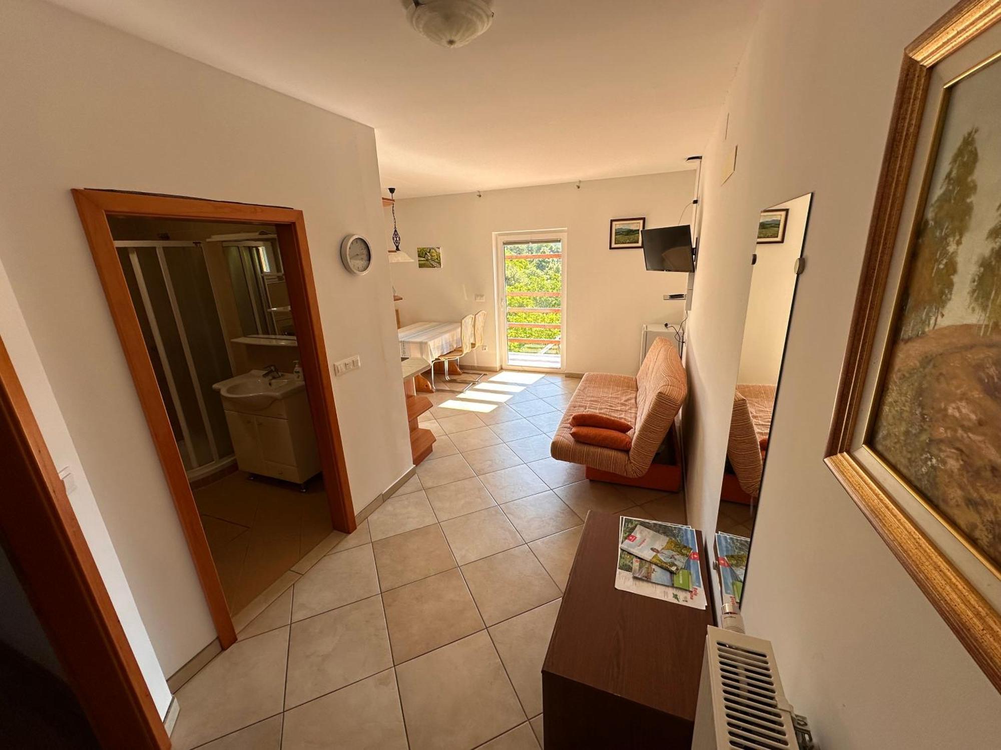 Apartments Suster Stari Trg ob Kolpi Exterior photo